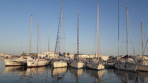Apartamento C� Celeste