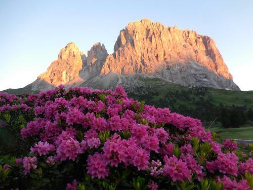 Hotel Al Viel B&B