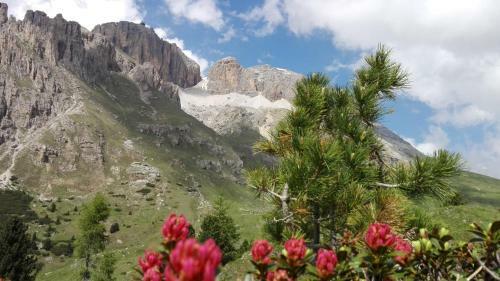 Hotel Al Viel B&B