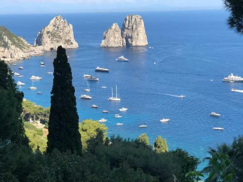 Villa Olga Luxury Capri