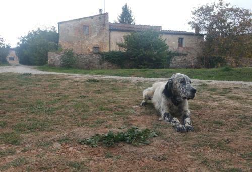 Apartamento Bichi Borghesi