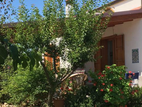 Bed & Breakfast Uliveto House