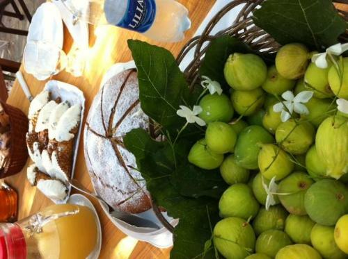 Bed & Breakfast Uliveto House