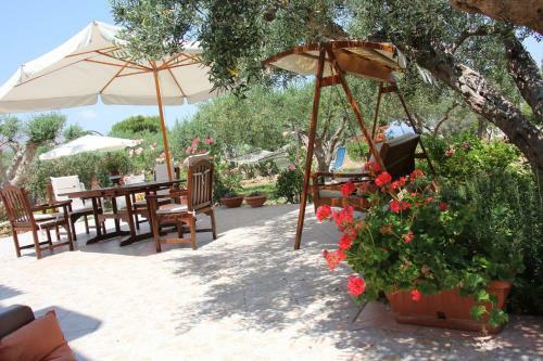 Bed & Breakfast Uliveto House