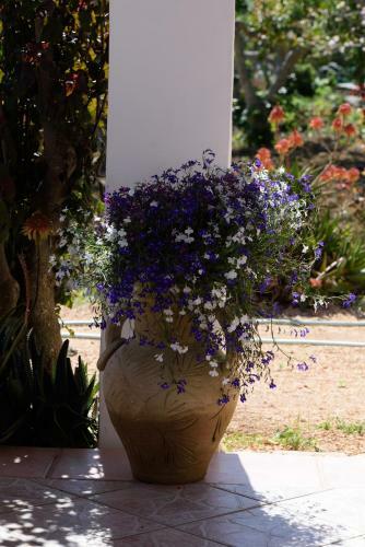 Bed & Breakfast Uliveto House