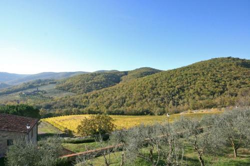 Castellina In Chianti Apartment Sleeps 6