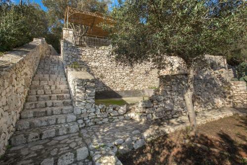 Pajara Acquaviva