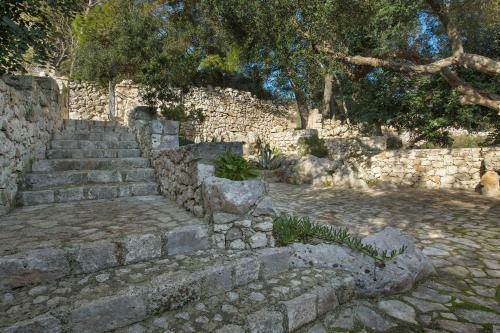 Pajara Acquaviva