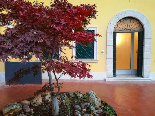 Hostal Villa Montenero
