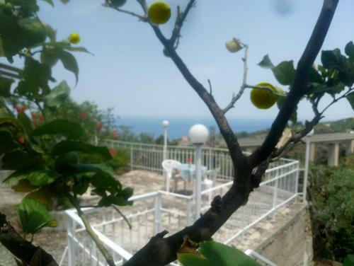 Villa Dafne