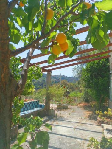 Villa Dafne