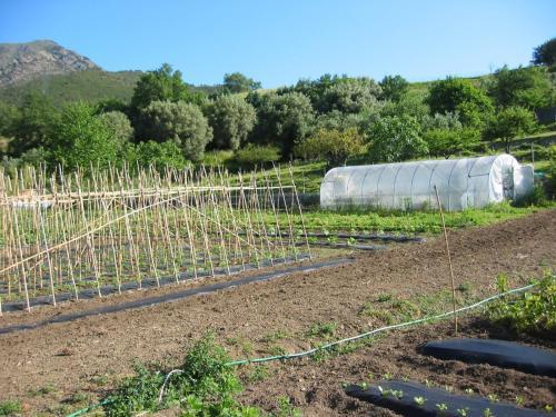 Agroturismo Agriturismo Valdolivo