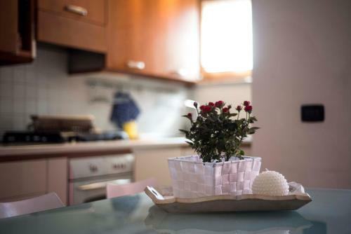 Apartamento Appartamento Luce