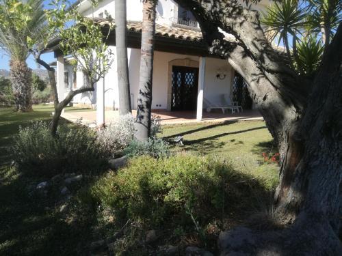Villa Delle Palme