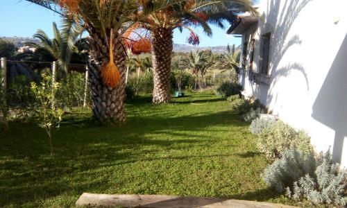 Villa Delle Palme