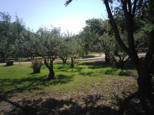 Apartamento Trekking Sardo