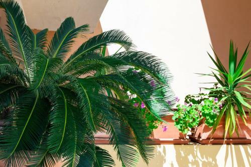 Apartamento Appartamenti Cavour Cod.c