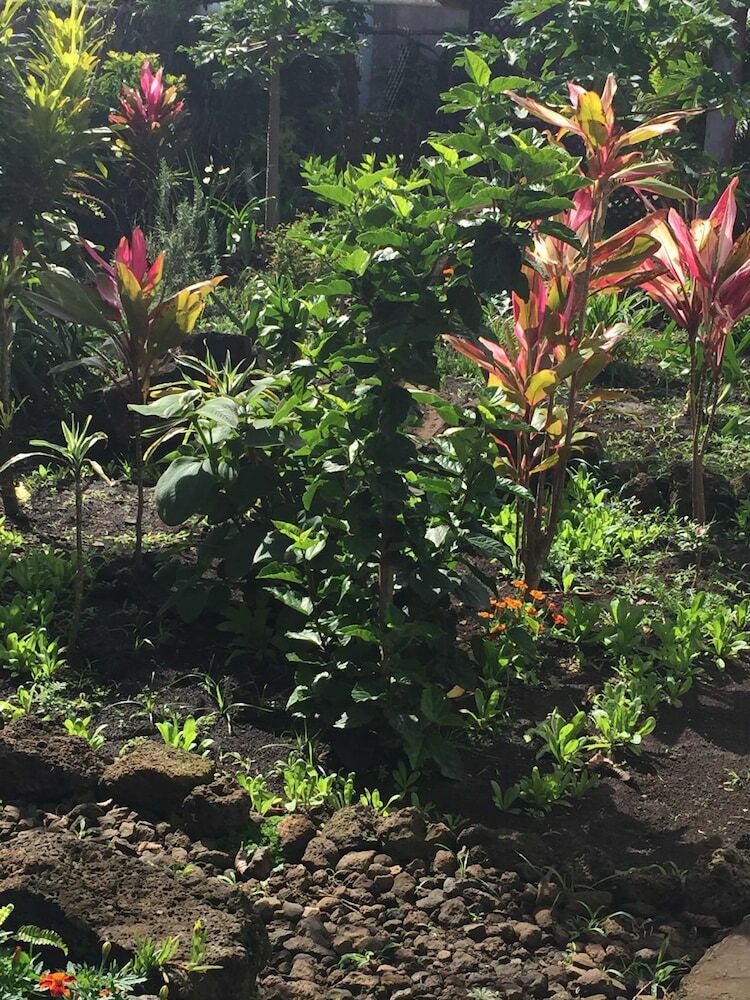 Cabana Keu Henua
