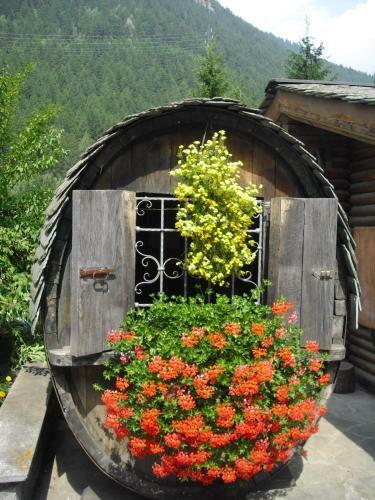 Camping Cimapiazzi