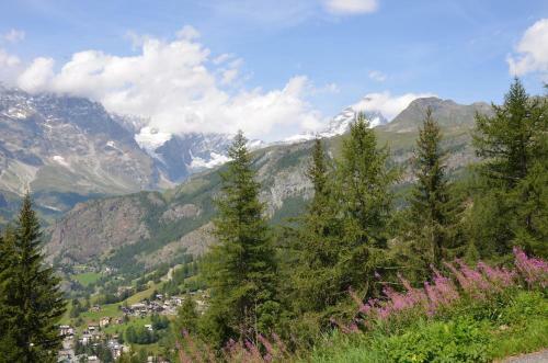 Hellochalet - Chalet D'alpage Larose