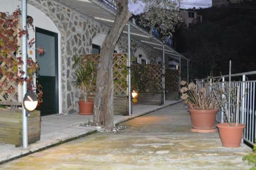 Hostal Affittacamere Arabafenice