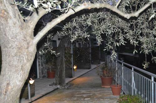Hostal Affittacamere Arabafenice