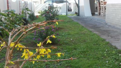 Florinda B&B Viareggio