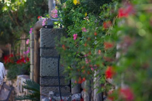 L'antica Pigna Chateau