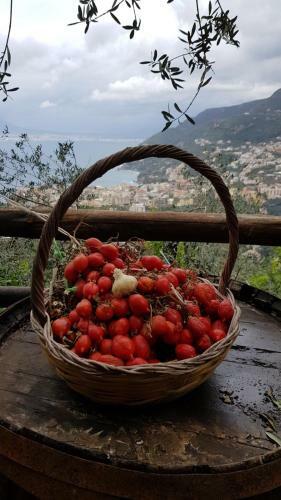 Agroturismo Villa Rosa Di Nonna Rosa
