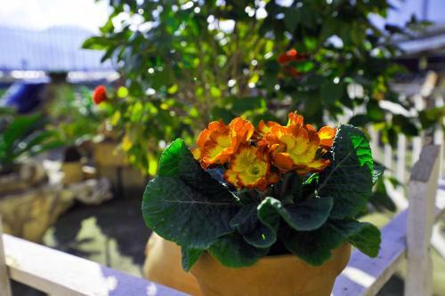 B&B Le Cycas