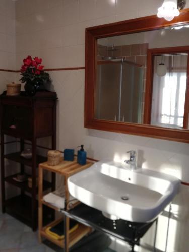 Hostal Casa Del Gecko