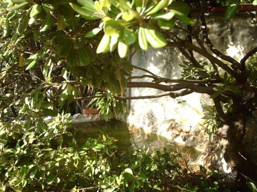 Le Villi B&B Friendly