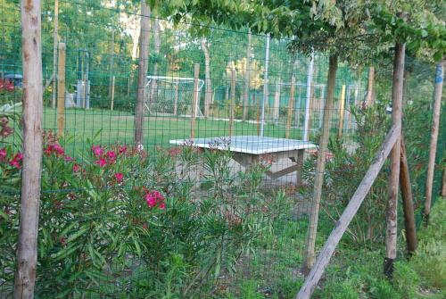 Mobile Homes - Torre Del Lago