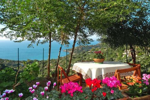 Apartment Torre Delle Stelle - Isr05050-a