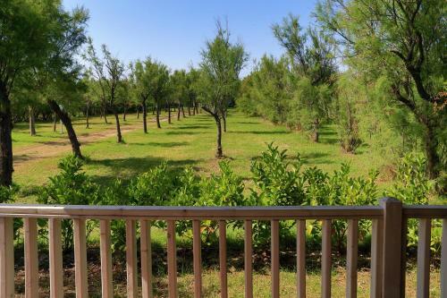 Torre Rinalda Camping Village