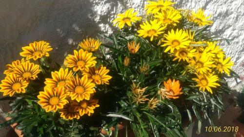 Villetta By Sicily