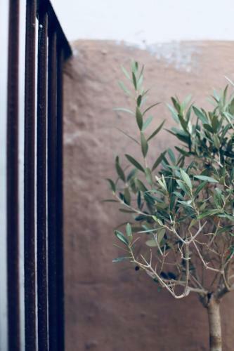 Bed & Breakfast La Mitria