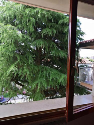 Hostal Luzzatti Rooms