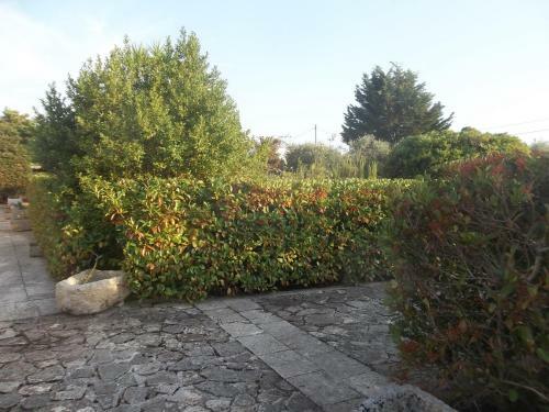Villa Confalone
