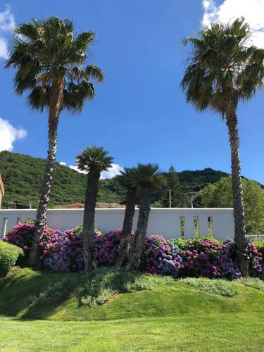 Hotel Il Borghetto Creative Resort