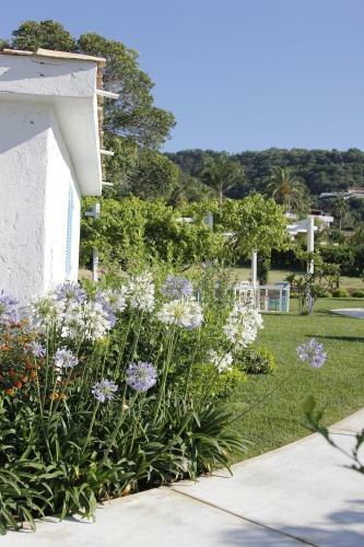 Hotel Il Borghetto Creative Resort