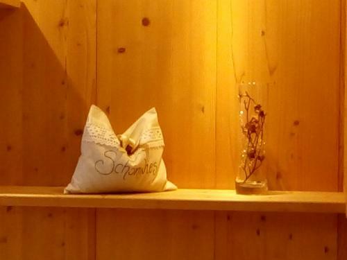 Hotel Sch�nwies