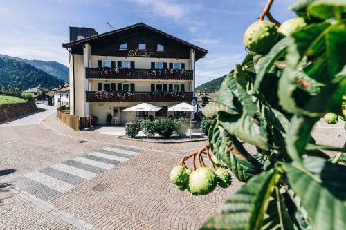 Hotel Sch�nwies