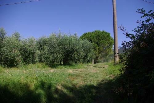 Apartamento Villa Roccaccia