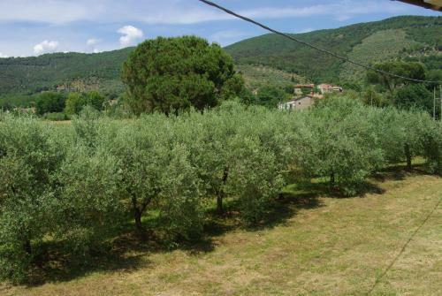 Apartamento Villa Roccaccia