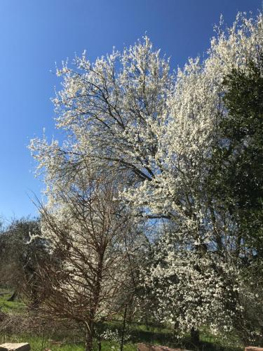Apartamento Villa Roccaccia