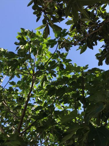 Apartamento Villa Roccaccia