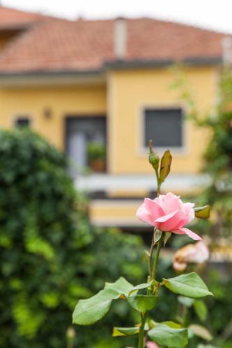 Bed & Breakfast Torino Mon Amour
