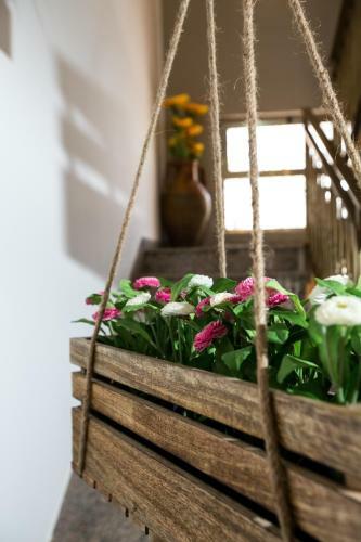 Bed & Breakfast Amata Puglia