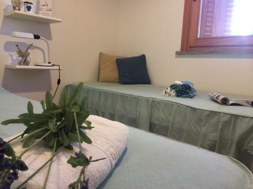 Apartamento Casa La Tanca